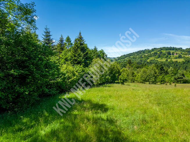 Lachowice - działka rekreacyjna pod lasem