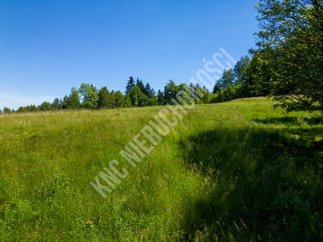 Lachowice - działka rekreacyjna pod lasem