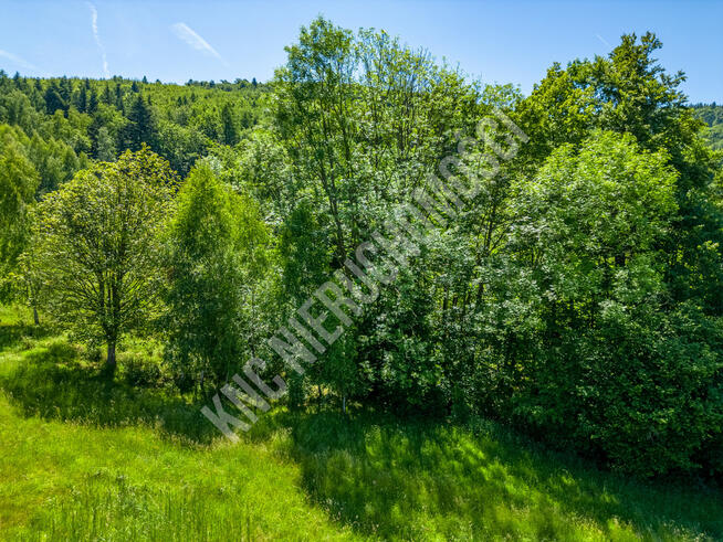 Lachowice - działka rekreacyjna pod lasem