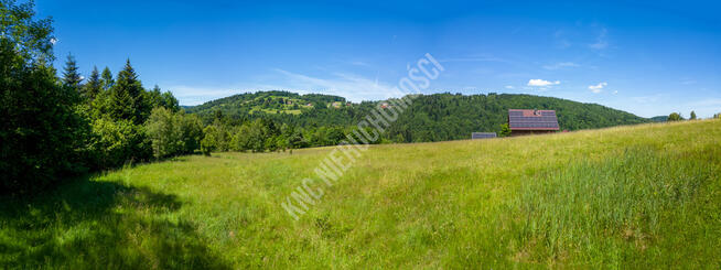 Lachowice - działka rekreacyjna pod lasem