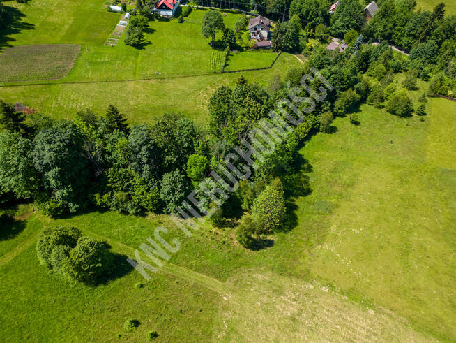 Lachowice - działka rekreacyjna pod lasem