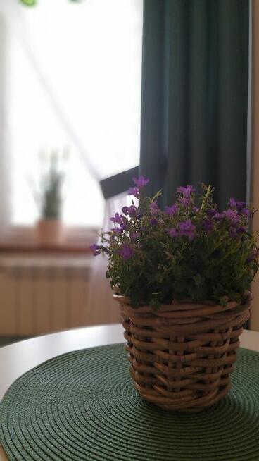 Noclegi w Polańczyku