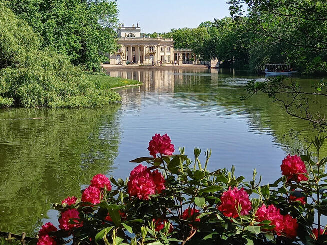 Pielęgnacja ogrodów i działek