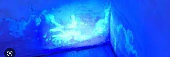 Hydraulik Lokalizacja Wycieku Wody Awarie Termowizja Gaz