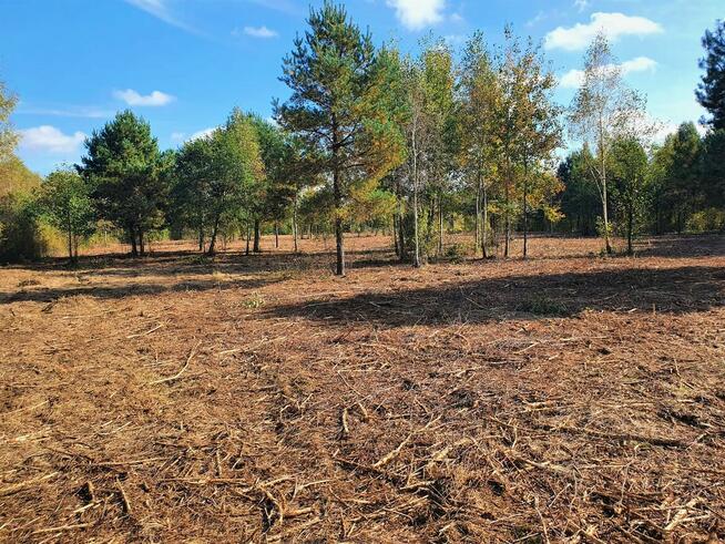 Działka Rekreacyjna w Otulinie Puszczy Bolimowskiej