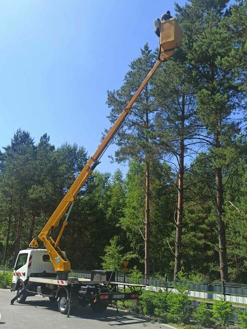 Podnośnik koszowy, zwyżka, usługi ,wycinka drzew, wynajem
