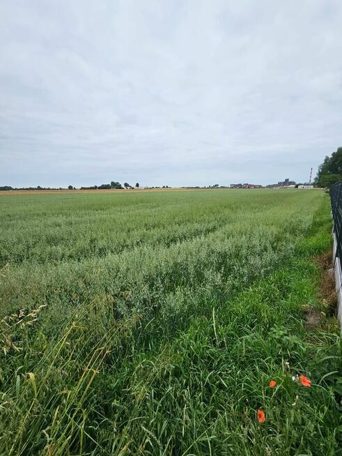 Działka mieszkaniowo-usługowa Winiary Wieś