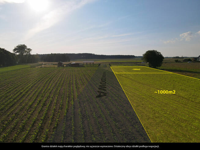 Działka budowlana Kaszuby 1000m2, Zamość gm. Karsin, piękna