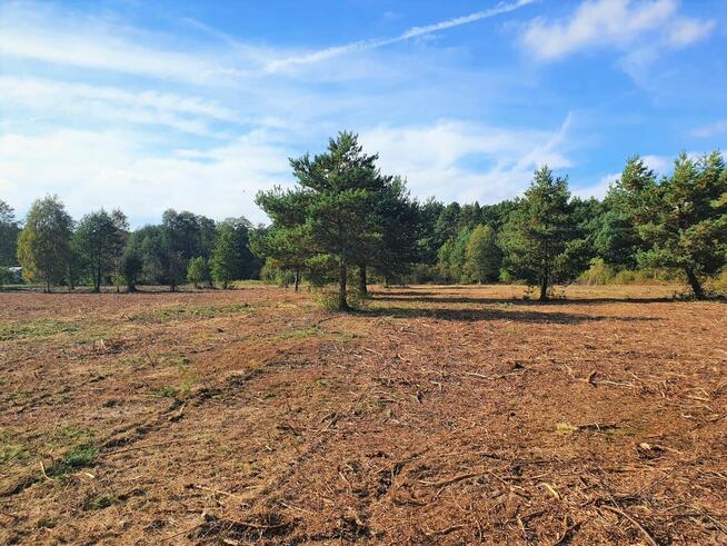 Działka Rekreacyjna w Otulinie Puszczy Bolimowskiej