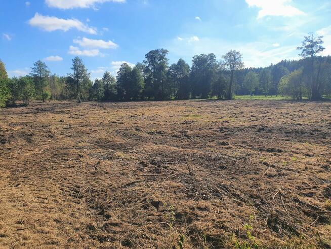 Działka Rekreacyjna w Otulinie Puszczy Bolimowskiej