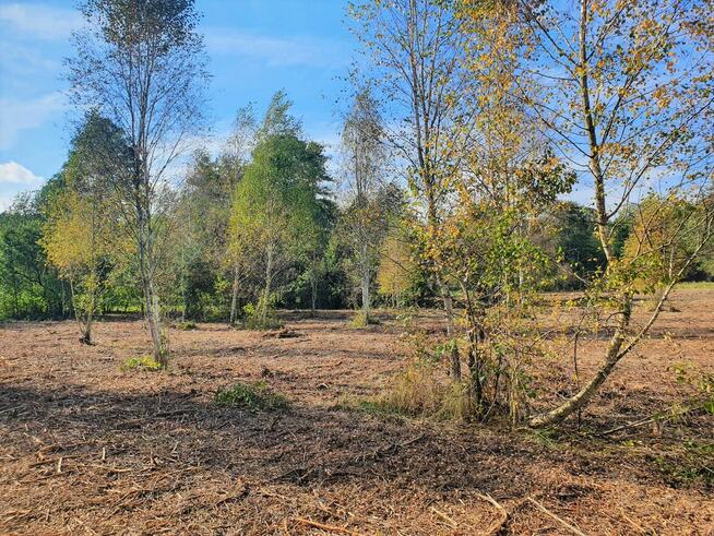 Działka Rekreacyjna w Otulinie Puszczy Bolimowskiej