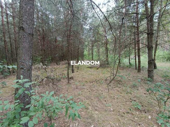 Działka rolno leśna Kołbiel ul Polna