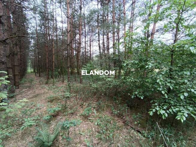 Działka rolno leśna Kołbiel ul Polna