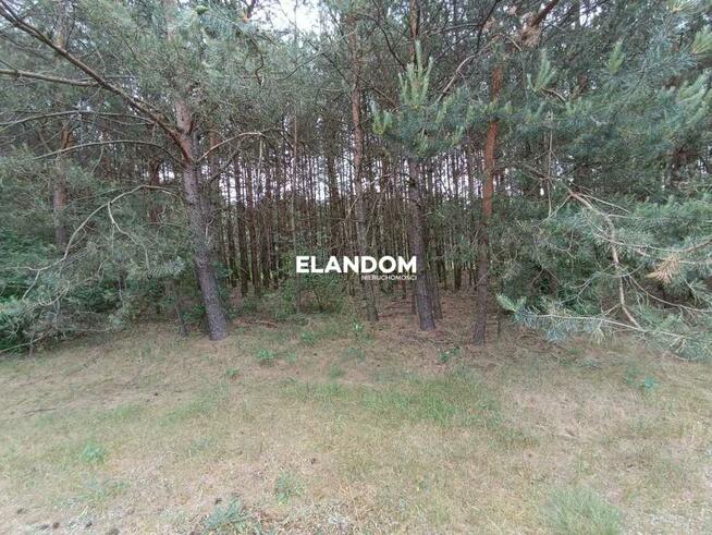 Działka rolno leśna Kołbiel ul Polna