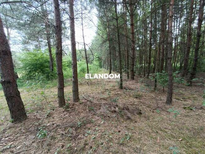 Działka rolno leśna Kołbiel ul Polna