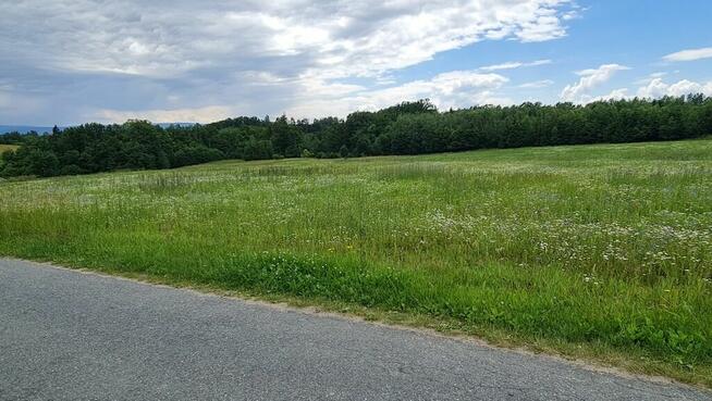 Na sprzedaż nieruchomość gruntowa Dębowina