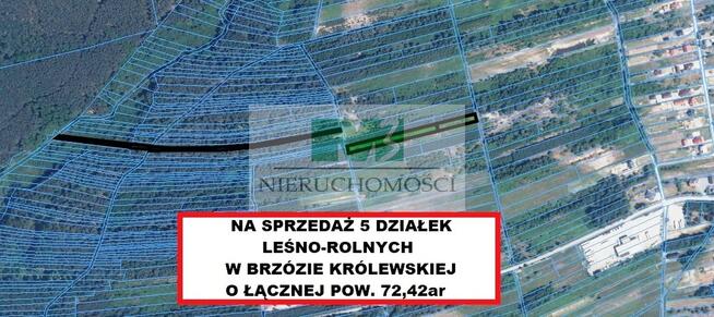 DO SPRZEDAŻY DZIAŁKI LEŚNO-ROLNE BRZÓZA KROLEWSKA