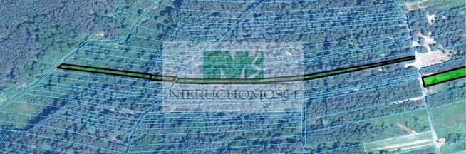 DO SPRZEDAŻY DZIAŁKI LEŚNO-ROLNE BRZÓZA KROLEWSKA