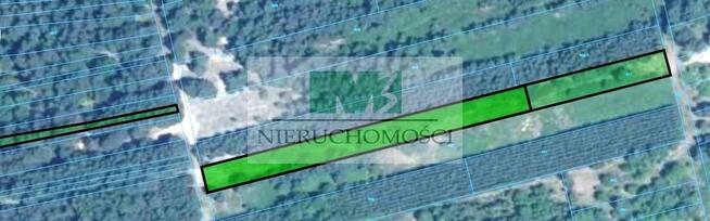 DO SPRZEDAŻY DZIAŁKI LEŚNO-ROLNE BRZÓZA KROLEWSKA