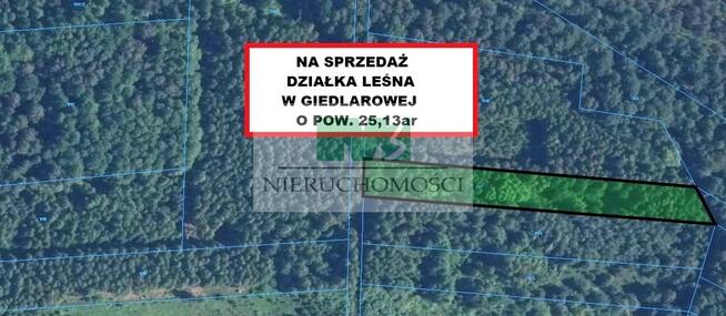 DO SPRZEDAŻY DZIAŁKI LEŚNO-ROLNE BRZÓZA KROLEWSKA