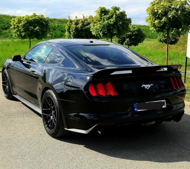 Ford mustang do ślubu