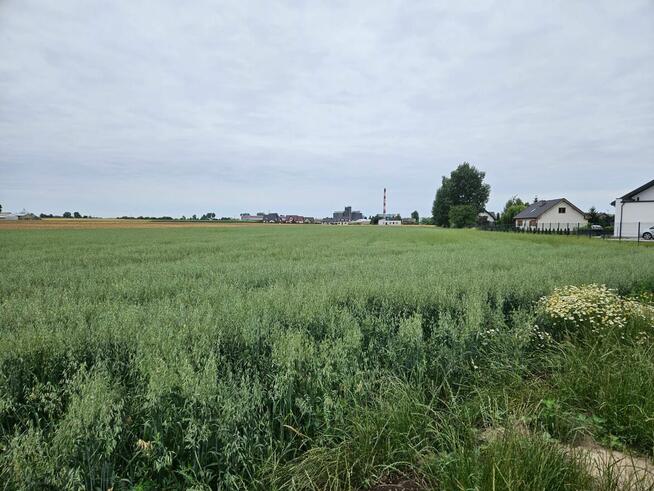 Działka mieszkaniowo-usługowa Winiary Wieś