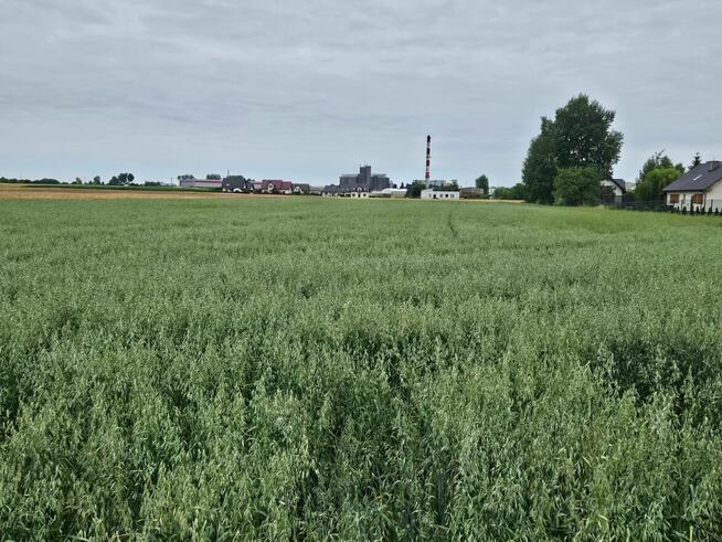 Działka mieszkaniowo-usługowa Winiary Wieś