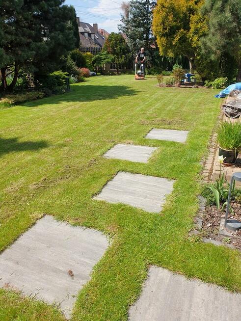 Usługi Ogrodnicze przygotowanie ogrodu do zimy