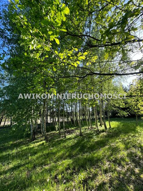 Działka inwestycyjna Kozerki gm. Grodzisk Mazowiecki