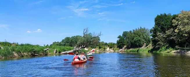 Spływy kajakowe Bugiem - Wypożyczalnia kajaków we Włodawie