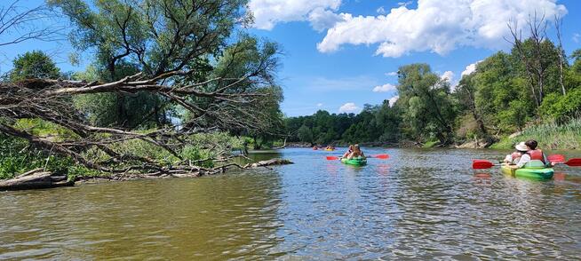 Spływy kajakowe Bugiem - Wypożyczalnia kajaków we Włodawie