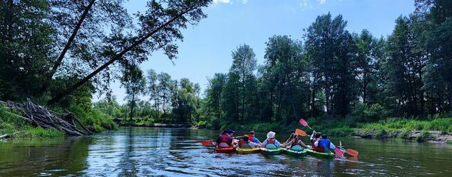 Spływy kajakowe Bugiem - Wypożyczalnia kajaków we Włodawie