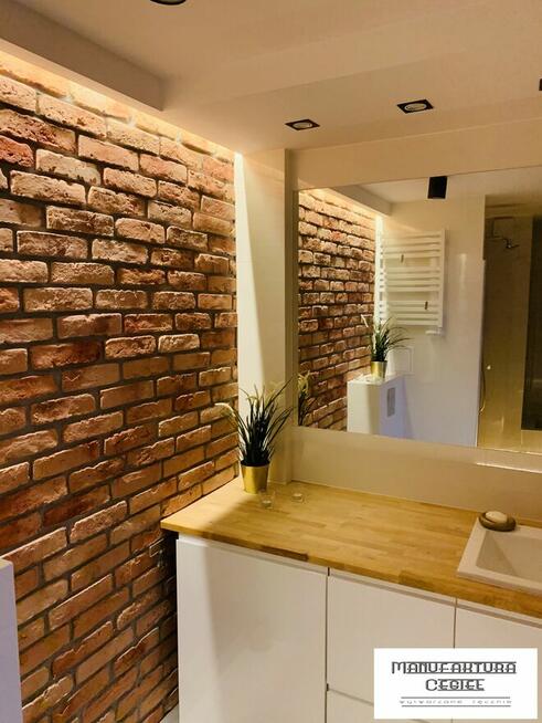 Płytki ceglane, stare cegły na elewacje, lico cegły na ścian