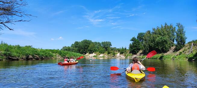 Spływy kajakowe Bugiem - Wypożyczalnia kajaków we Włodawie