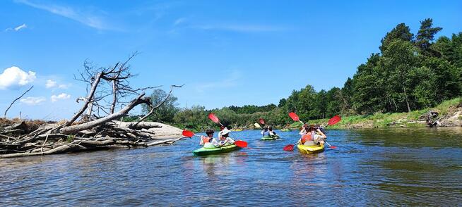 Spływy kajakowe Bugiem - Wypożyczalnia kajaków we Włodawie