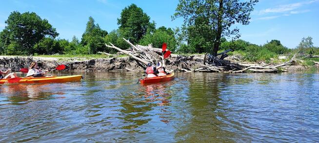 Spływy kajakowe Bugiem - Wypożyczalnia kajaków we Włodawie
