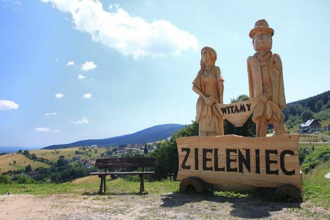 Sprzedam piekna posiadlosc obok Polanicy-Zdroju-GORY-SUDETY