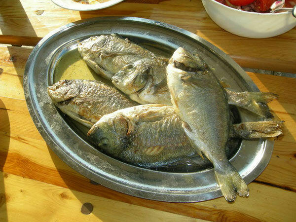 CHORWACJA od1790 zł Makarska LOT Wroclaw-Dubrovnik 29.9-6.10