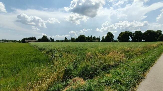 Piękna, duża działka w spokojnej okolicy - Pólko