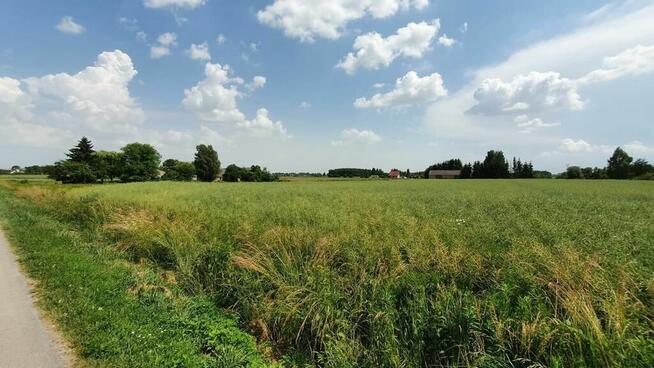 Piękna, duża działka w spokojnej okolicy - Pólko