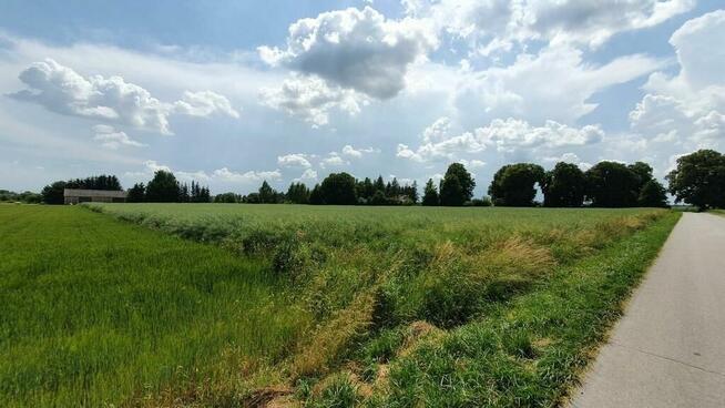 Piękna, duża działka w spokojnej okolicy - Pólko