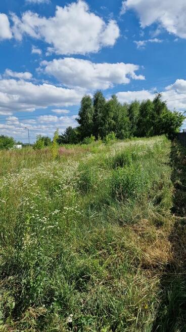 Dąbie działka budowlana na wzniesieniu