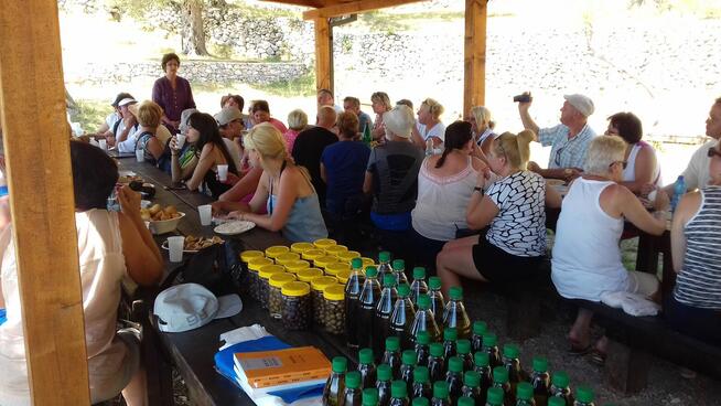 Albania Chorwacja Czarnogóra autokar 2190 zł /os !! 8 dni