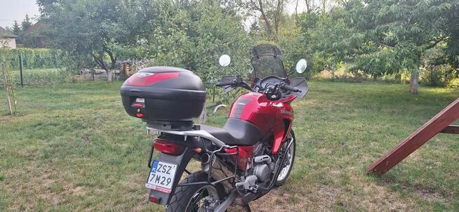 Honda Transalp Honda XL 650 Transalp