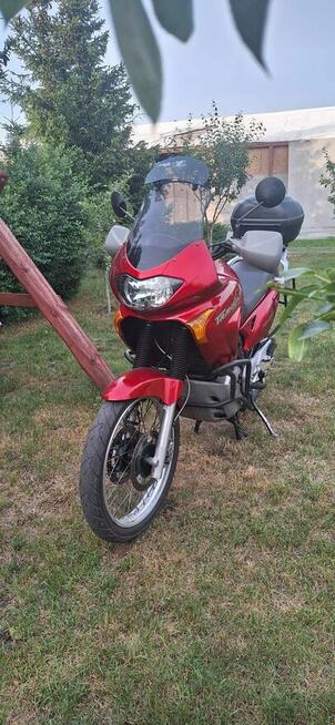 Honda Transalp Honda XL 650 Transalp