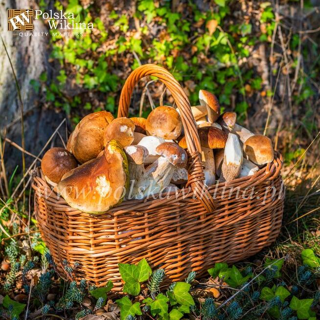 Kosz wiklinowy PERŁOWY na zakupy prezent grzyby Rzeszów