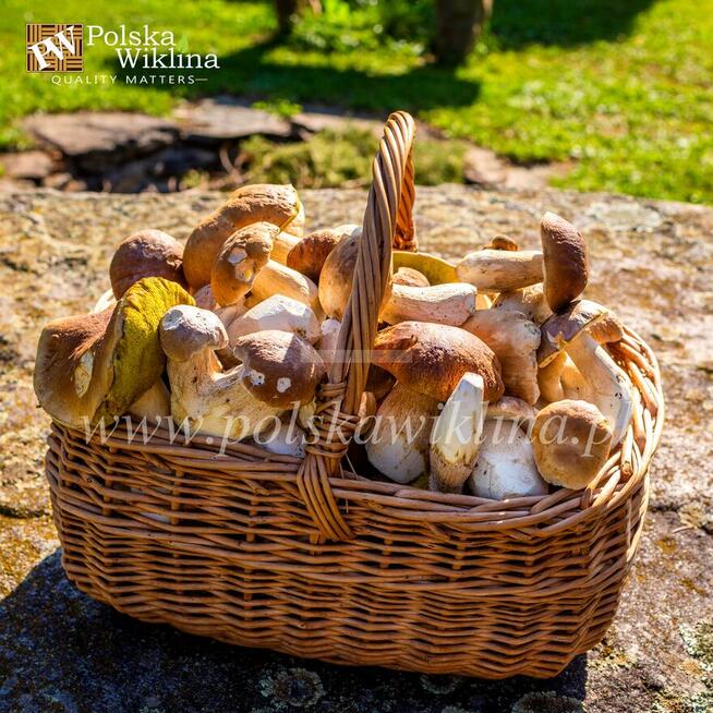 Kosz wiklinowy PERŁOWY na zakupy prezent grzyby Rzeszów