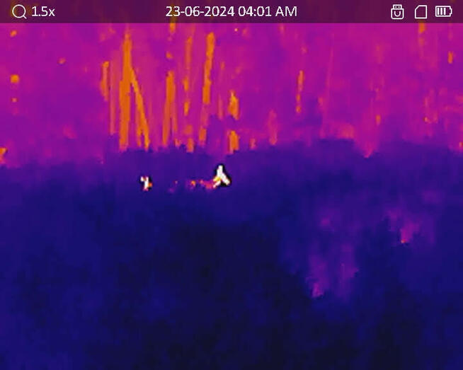 Ekspertyzy przyrodnicze, inwentaryzacja ornitologiczna