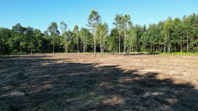 Działki Budowlane W Lesie