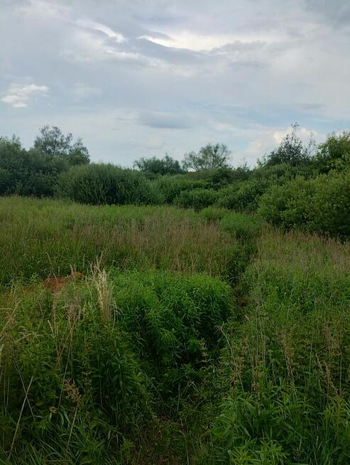 Sprzedam działki okazja gołąb gm Puławy 2,59ha złoża zamiana